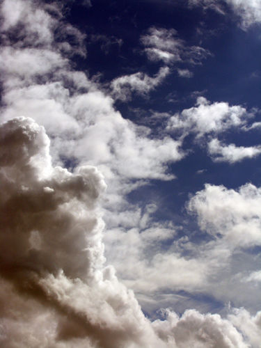 Untitled (2008)